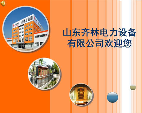 齊林集團ppt制作